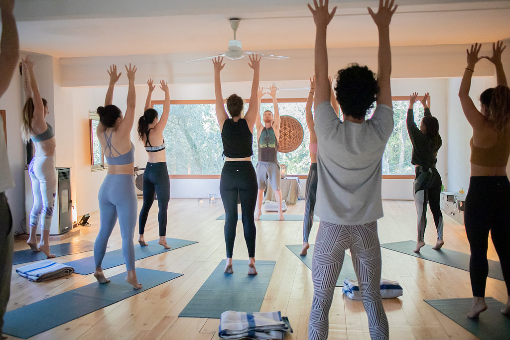Dharma Shala - Synergy Yoga Class